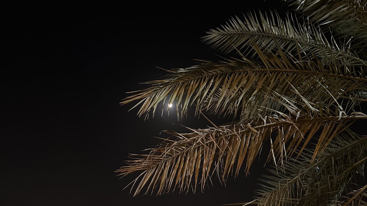 لعلَك تحلُم بِنجمة ، وكتَب الله لك قمَر 🤍