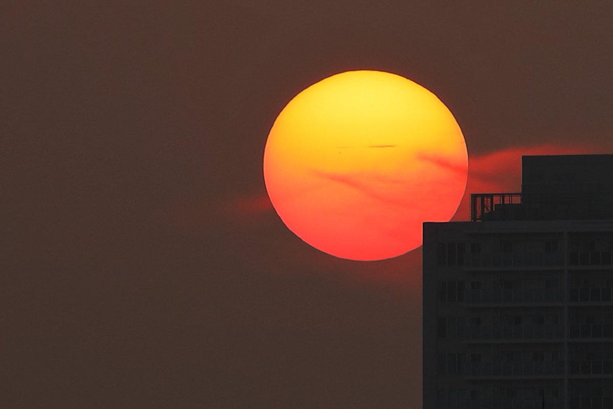 日の出
#ファインダー越しの私の世界 #写真で伝えたい私の世界 #朝陽 #東京