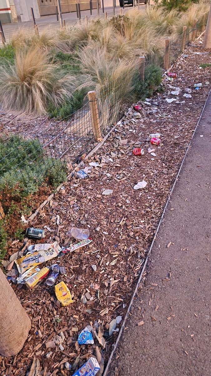 luizvb's tweet photo. @AjBadalona @Albiol_XG Que pasa con los servicios de limpieza del barrio de Llefia? La Plaça de Pere Rovira, entre las calles Andres Segovia y Joan Sebastia Bach, se esta convirtiendo en un vertedero! Basura por todos lados! Hace dias que no limpian y la basura se va acumulando!! https://t.co/aTI6oB4vBk
