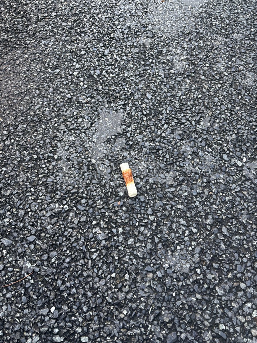 お、落とし物です、、、