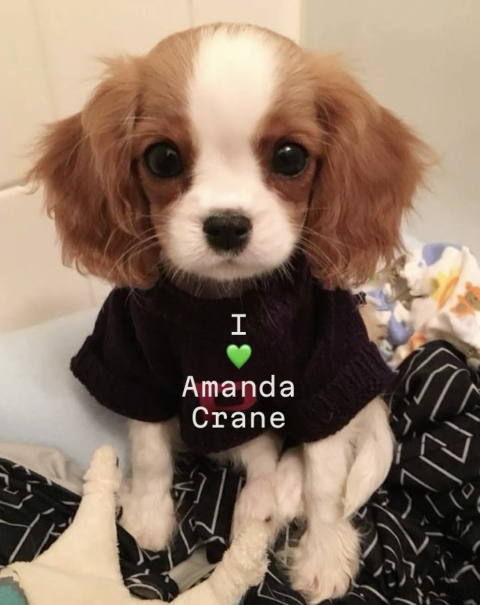 Bessie Crane B tweet media