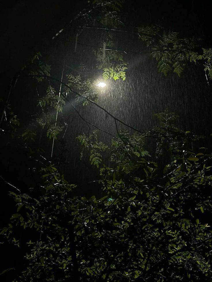 rainy night.🖤