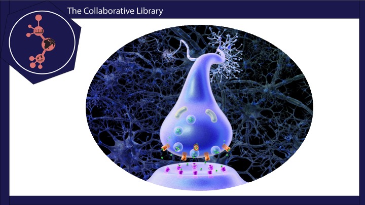 CollabLibrary's tweet image. 🧠 Is depression a “chemical imbalance” of serotonin?
A 2022 review found weak evidence linking serotonin to depression. Antidepressants help, but not by just “fixing” serotonin.
🎥 3-min explainer: tinyurl.com/d39hthvc
#MentalHealth #ScienceCommunication