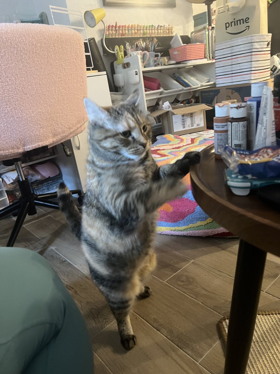 marbol the bipedol babby