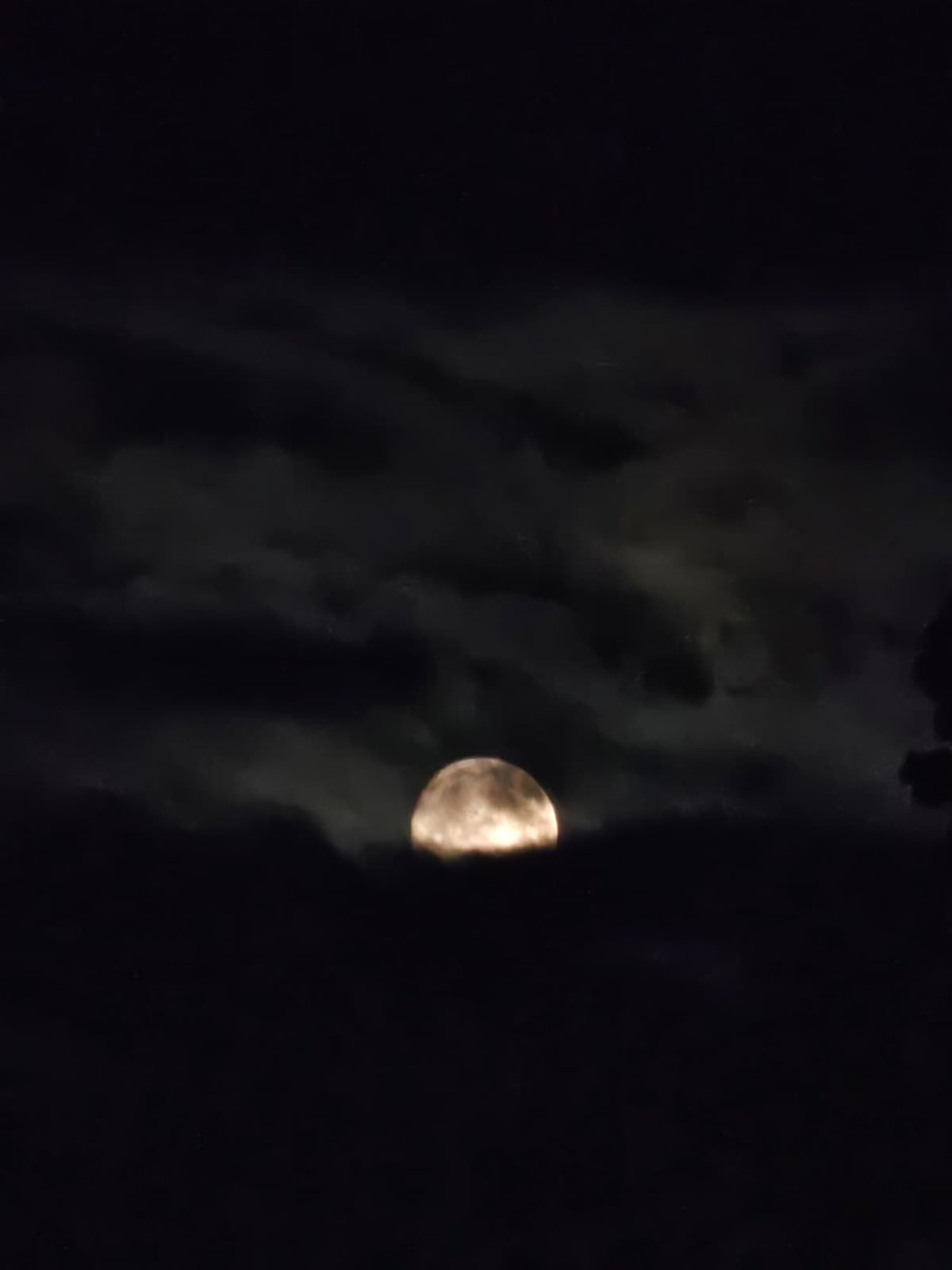 🦋 (@1yahazeh) on Twitter photo 