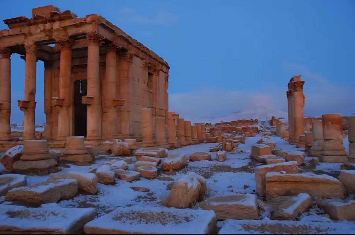 Palmyra pinterest tweet media