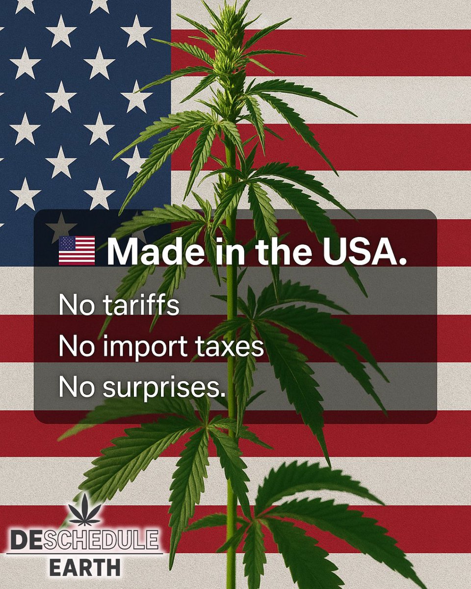 An American plant, thriving on our soil, demands true freedom. Schedule III offers only a mirage of progress, maintaining federal control and criminalizing patients who seek natural relief. Descheduling ensures no more surprises for families and an end to unjust penalties. Let us