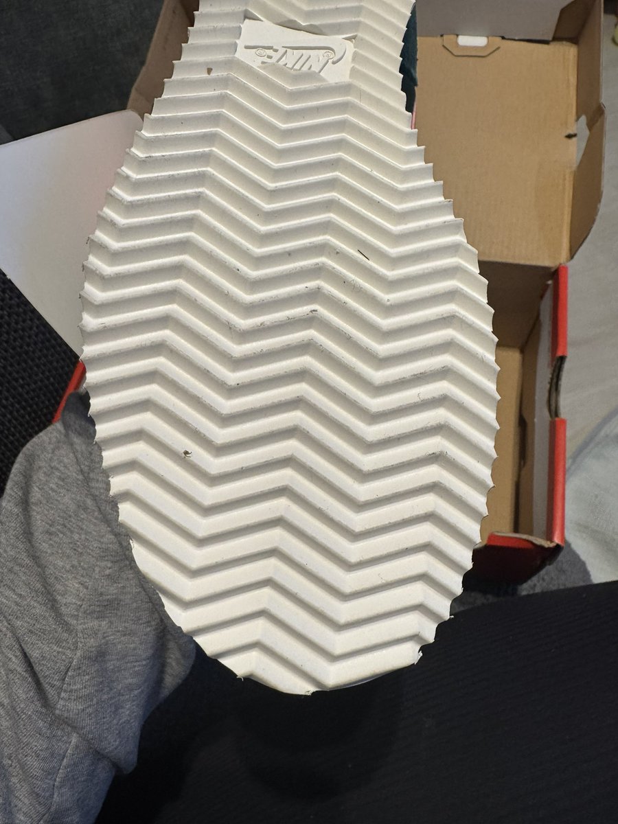 lotus flowers tweet media