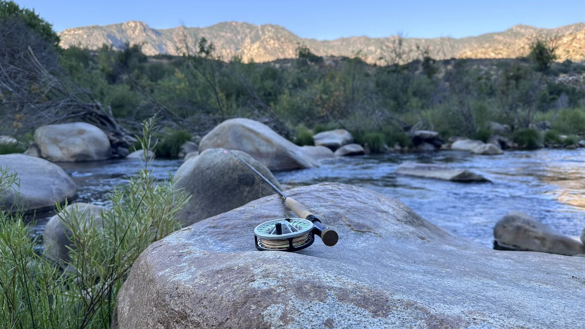 toddewiest's tweet image. Got away to the Kern River to get some peace for my soul, and this guy made it that much more enjoyable!
#kernriverflyshop #kernriver #fishpicsfriday @notonlytrout #simms #echoflyrods #umpqua #korkers