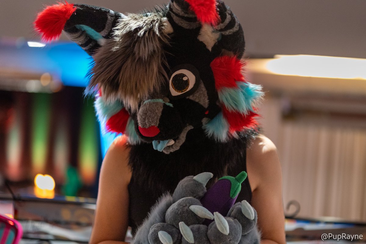 Happy late #FursuitFriday Managed to get a least one picture when I was at <a href="/Aberacon/">Aberacon</a> taking photos of everyone else!

Posing with an 🍆 bought at the dealers den 👀

📷: <a href="/Frost_Floof/">Frost Floof 🏴󠁧󠁢󠁷󠁬󠁳󠁿🏳️‍⚧️🏳️‍🌈🐺</a>