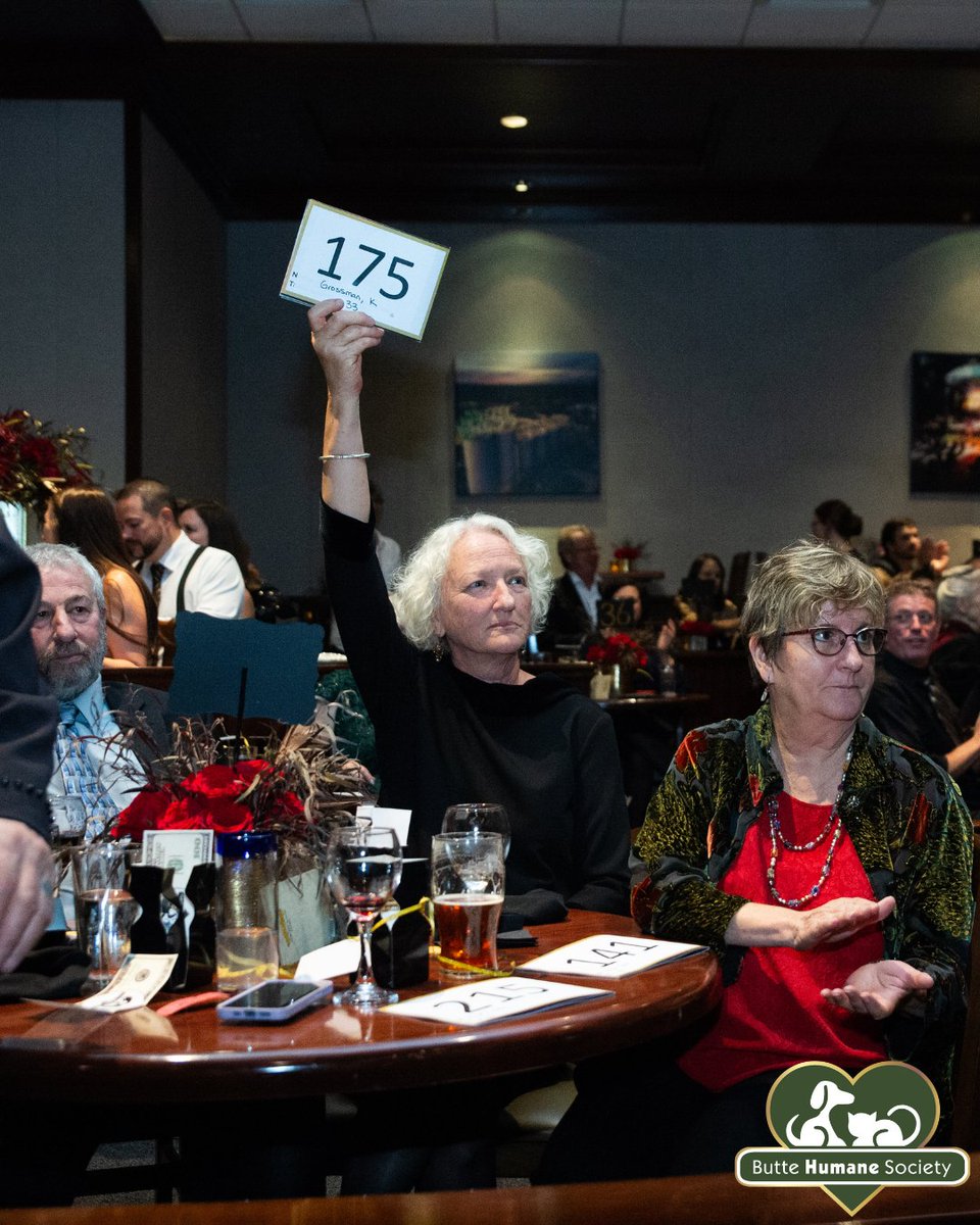 buttehumane's tweet photo. We wanted to extend a heartfelt THANK YOU to some of our incredible sponsors supporting this year’s Gilded Garden Gala. Today is your LAST CHANCE to get tickets! 🎟️✨ Get yours today! https://t.co/paVfPYkVcD https://t.co/M7vSfv8S78