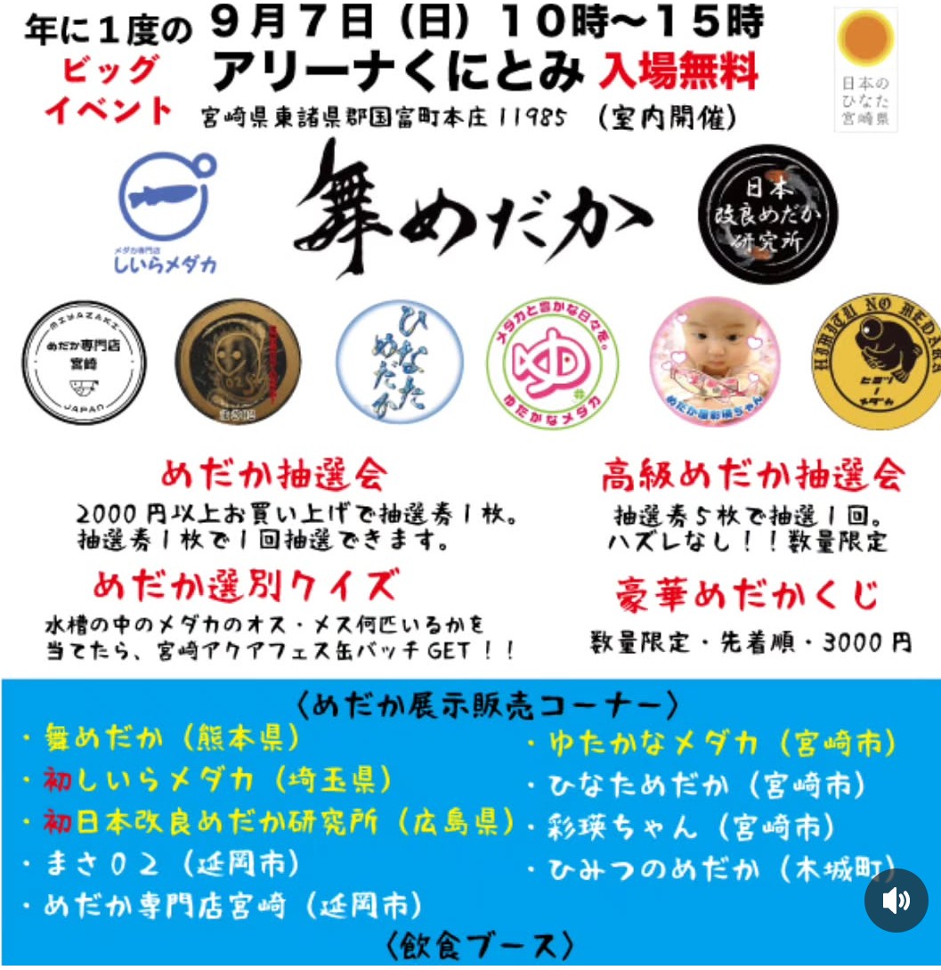 jrAa86bQCVn3T4a's tweet photo. おはようございます😆
明日は、宮崎県国富町で、1年に1回のイベントがあります😆
舞めだかさん、しいらメダカさん、日本改良めだか研究所さんが来られます🤩👏
お近くの方は、宜しくお願いしますm(_ _)m
スッポン連れて行きます😁 https://t.co/GTGlk92YYw