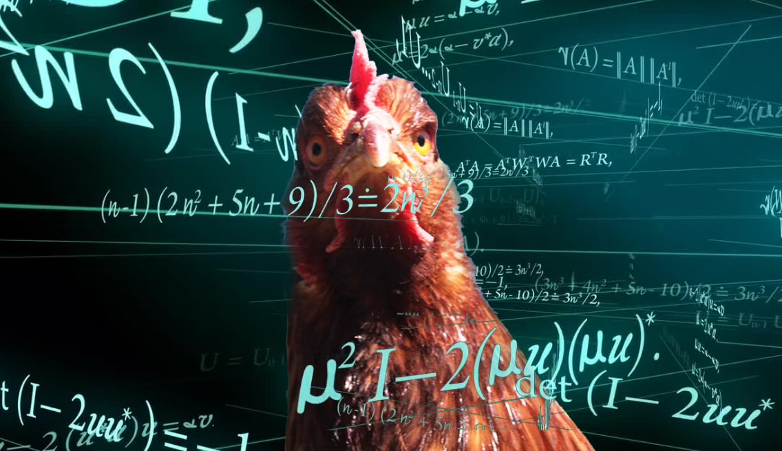 fstflofscholars's tweet image. Apparently I have two roosters. So, I guess this means I need more hens? #chickenMath