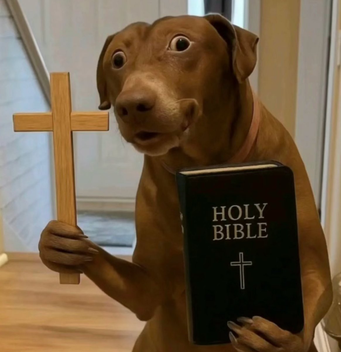 Entonces si da miedo la del conjuro 4 o no?