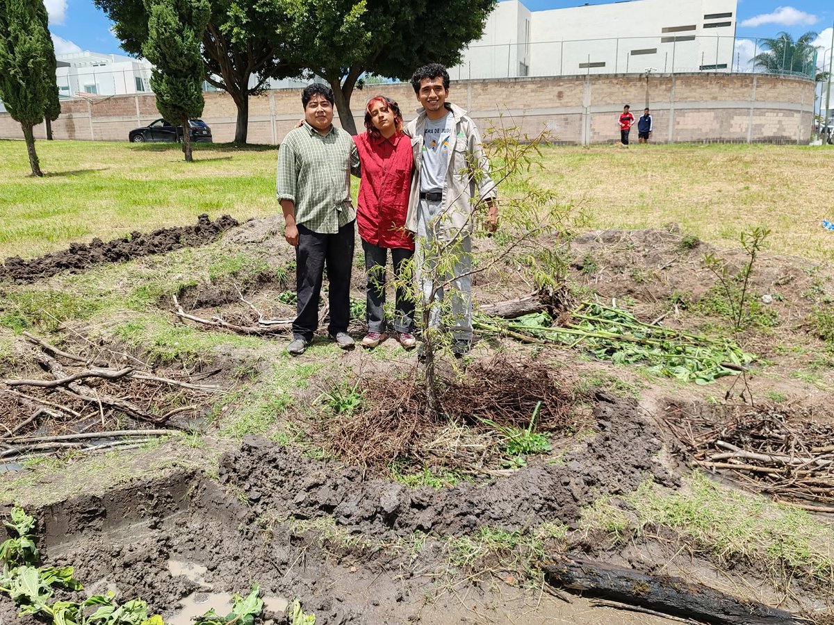 arboles_puebla's tweet photo. Día de jornada de trabajo en torno al #AhuehuetedeCumulodeVirgo. Retener agua de lluvia y propiciar en desarrollo de vida en el sitio son dos de los objetivos que están orientando la gestión de este espacio. https://t.co/lXuS2gixcc