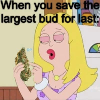 Stoner Jesus™ tweet media