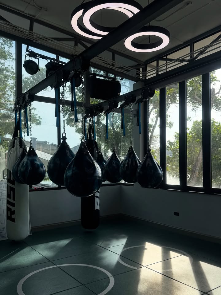 its_ima_GEE's tweet photo. So I haven't appeared in the gym for months, so I go there so often that soon the guard will start greeting by name. Everything, as usual, according to the internal barometer. He is capricious, but honest) https://t.co/AEnqy1ONjA