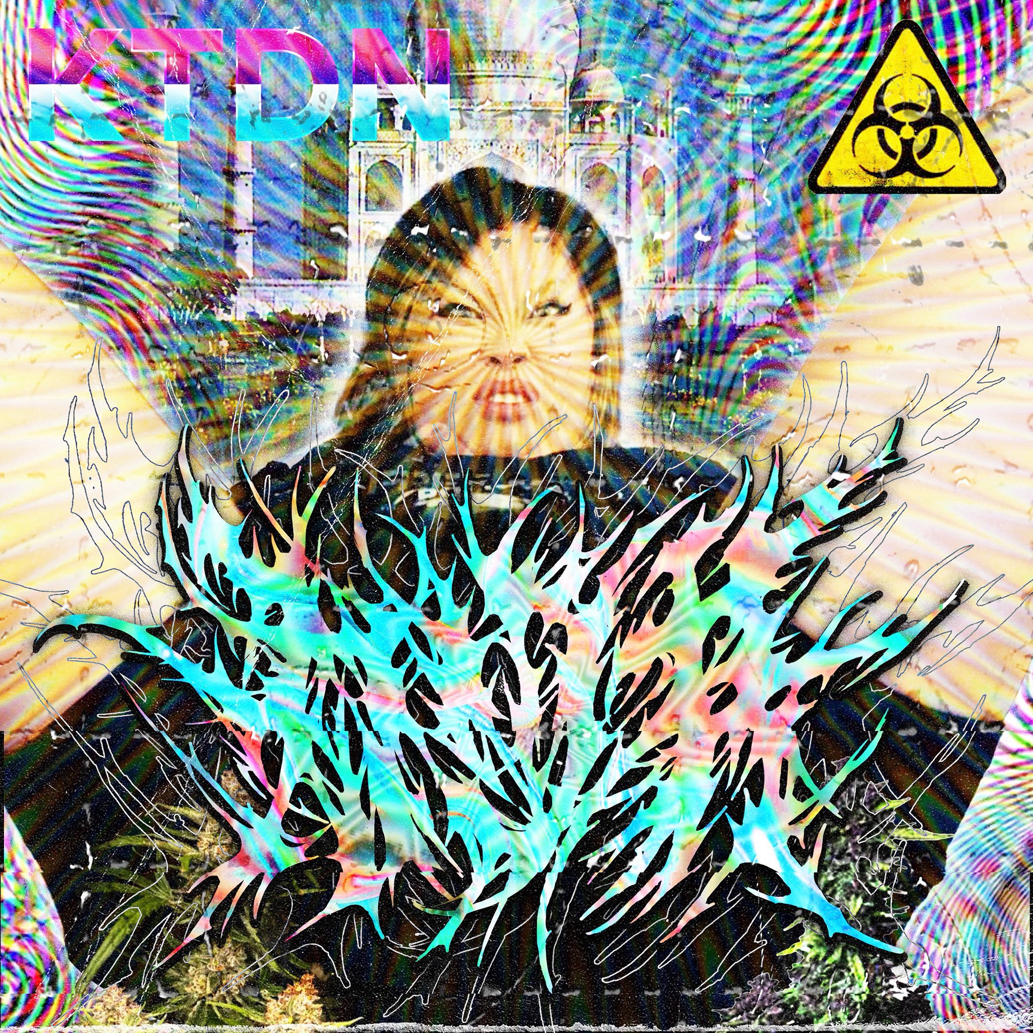 無明庵　EO ～変～ ＨＥＮ （ＷＥＩＲＤ） 音楽CD　鈴木崩残 無明庵 EO ～変～ HEN （WEIRD） 音楽CD 鈴木崩残 無明