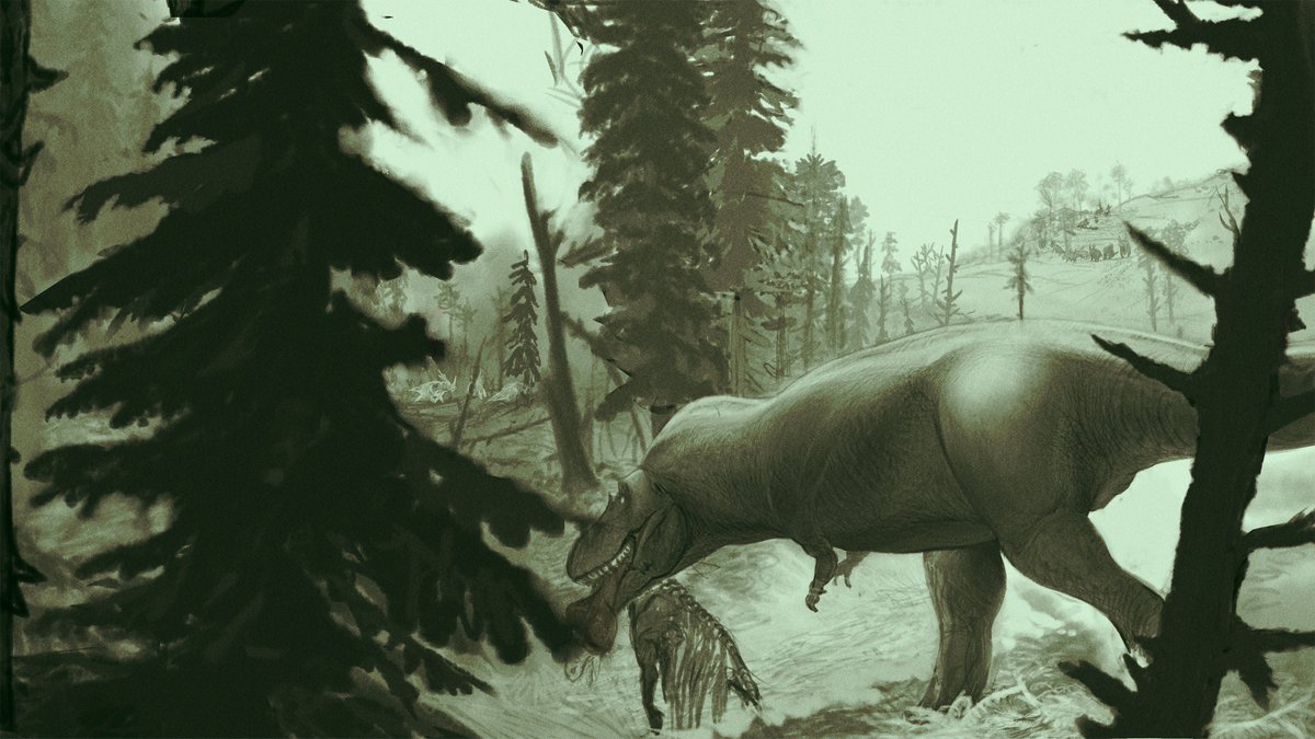 ZombieSaurian's tweet image. It&apos;s #FossilFriday  everyone! So here&apos;s a progress update, I&apos;ve got bigger plans for my Allo v Cerato illustration in order for it to stand out, more on that soon. 
#Daspletosaurus #Tyrannosaur #paleoart