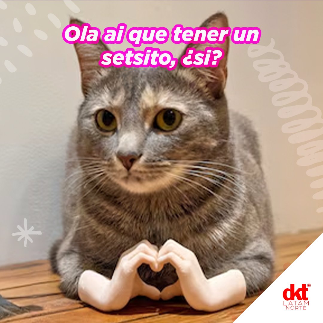 DKT Latam Norte tweet media