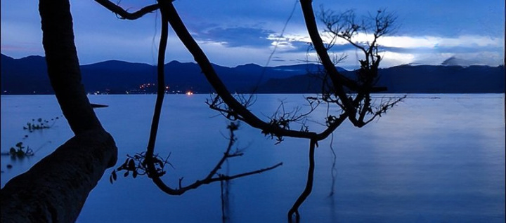 صالح .. الشيباني 𝕊𝔸𝕃𝔼ℍ tweet media