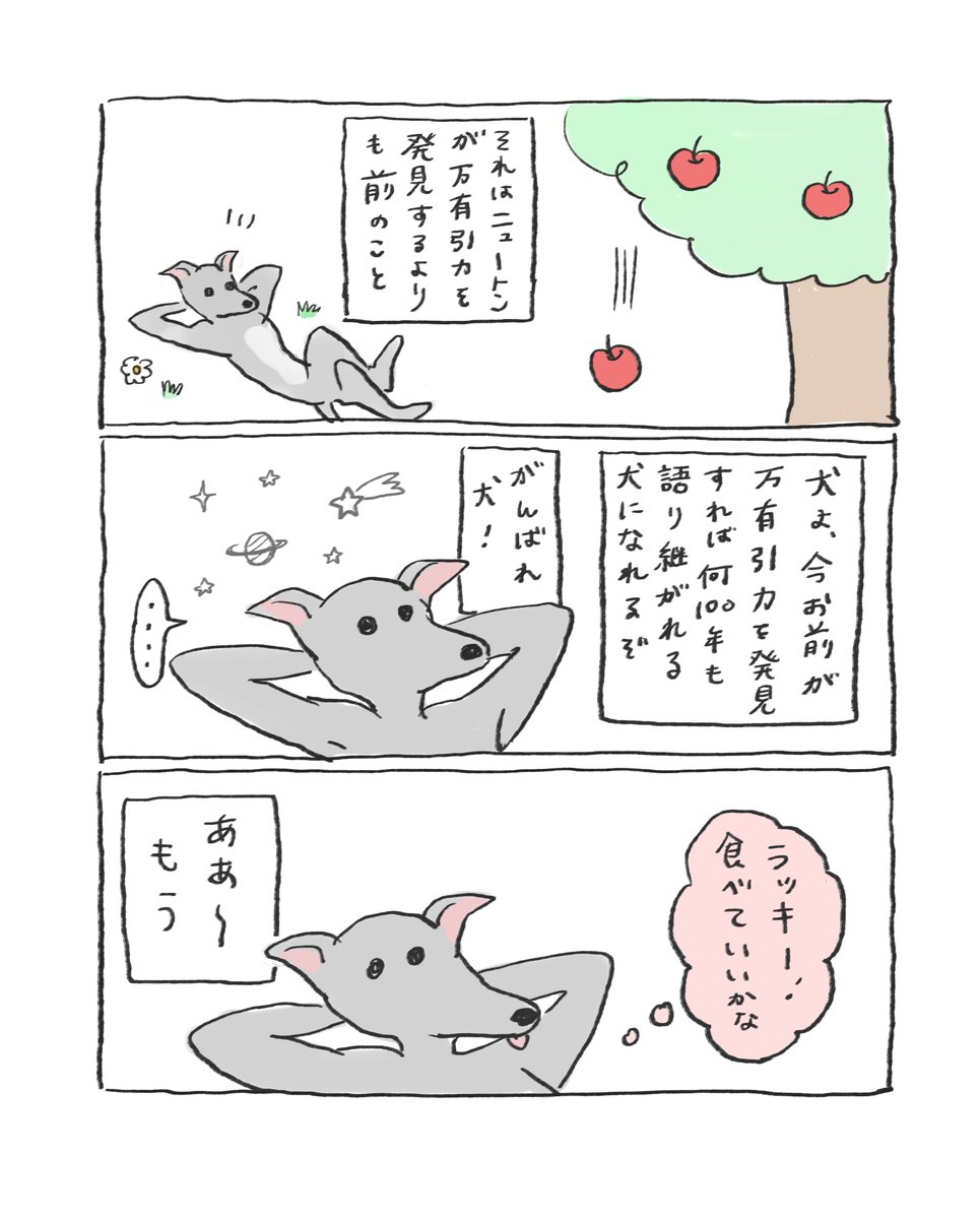 チャンス逃しーぬ 