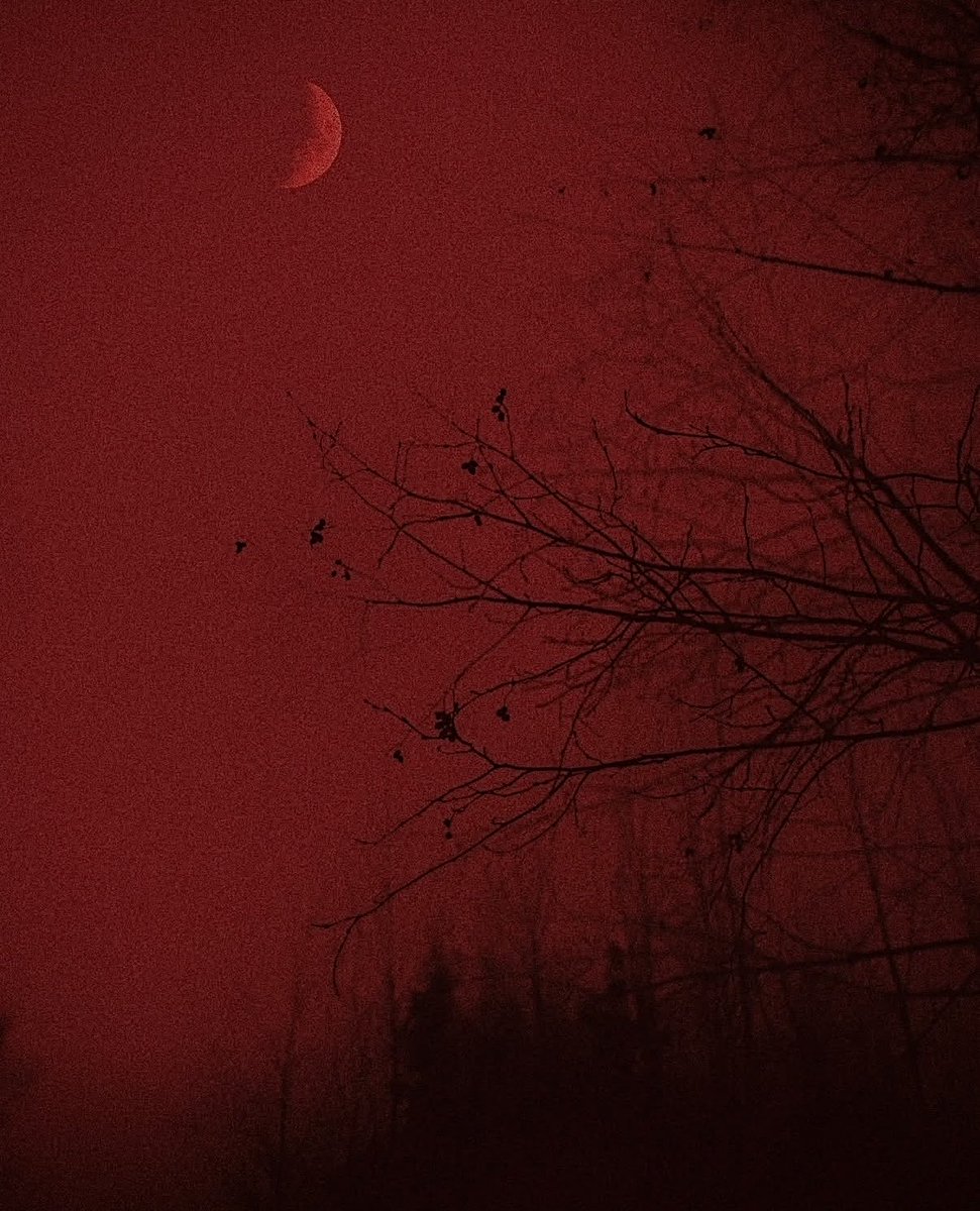 𝔈𝔮𝔲𝔞𝔱𝔢 𝔗𝔥𝔢 𝔇𝔦𝔰𝔰𝔬𝔫𝔞𝔫𝔠𝔢 tweet media