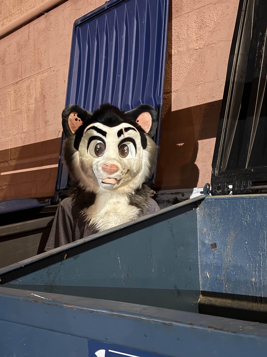 Jerry Opossum tweet media