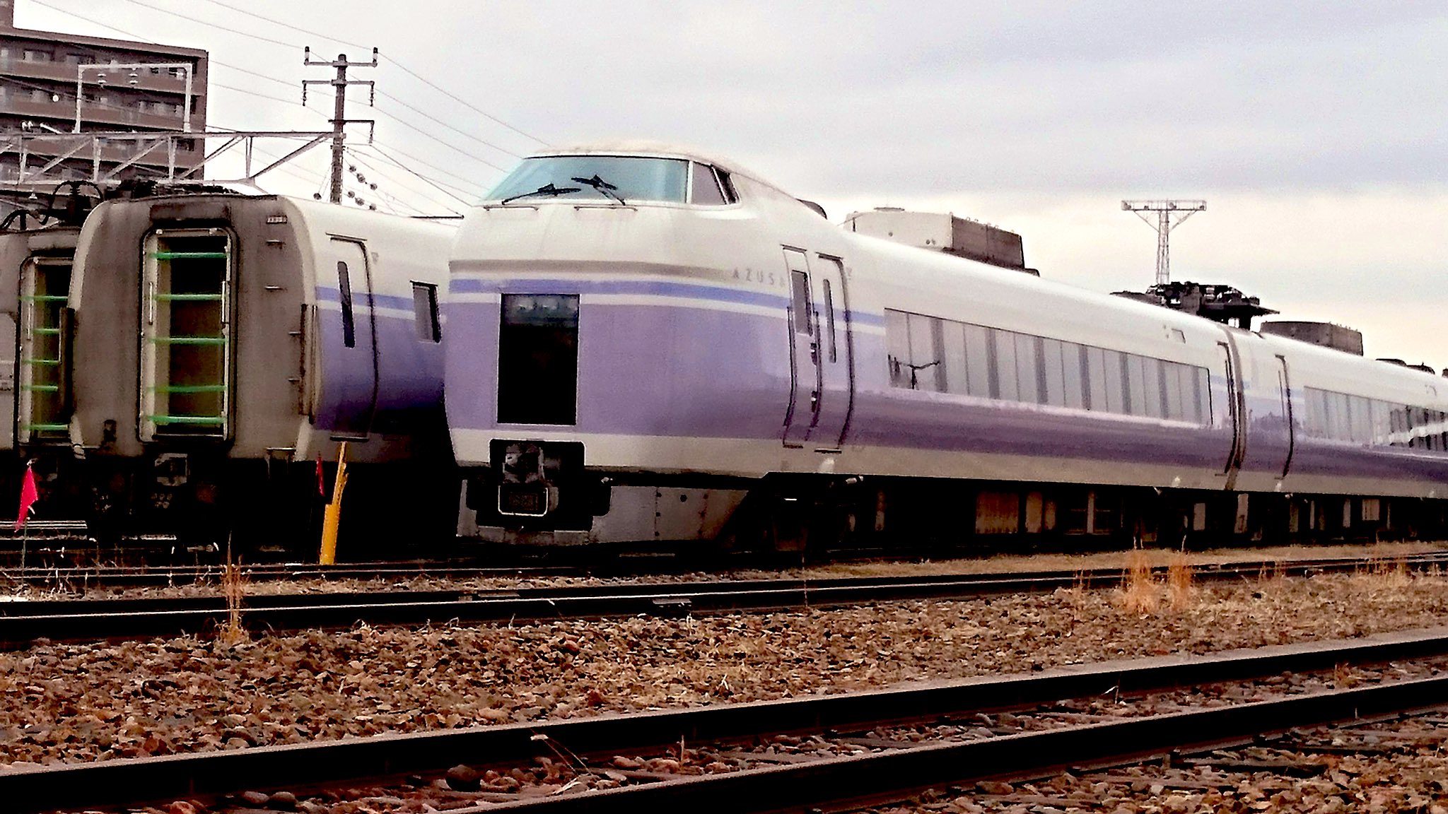 NORA's NICE SMBT スペシャルエンボス ミズノ 安全靴 オールマイティ LSII 73M BOA 2025年限定モデル