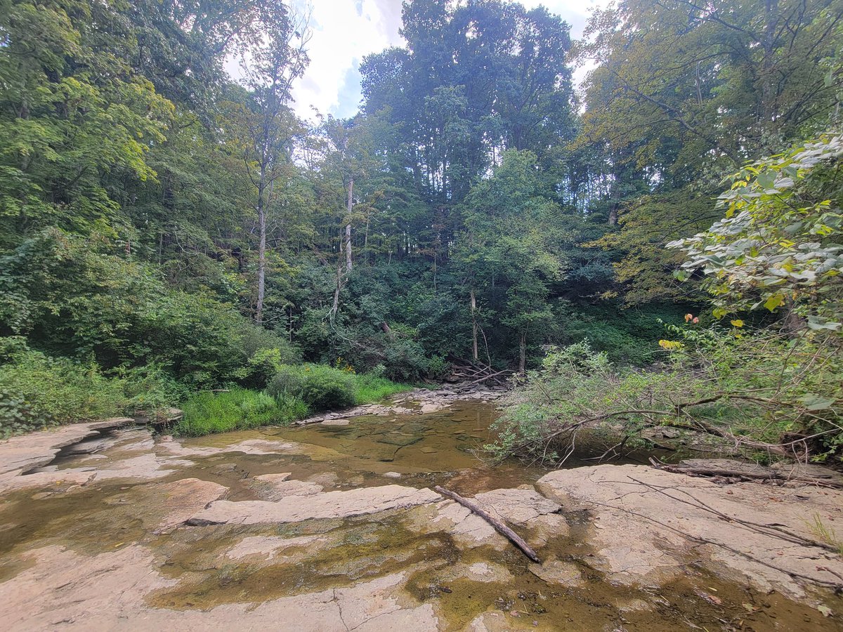 chasingbuckles's tweet photo. Late post but did my 1st 100k trail a couple weeks ago. 
East Fork 100k. 67 mile course.
What an insane experience.
Running for hours at night by myself in the woods 😅
Finished 12th out of 39 people.  
Only 23 Finished.  
The volunteers were life savers!
100 miles next? 👀 https://t.co/kgnOXPvkhx