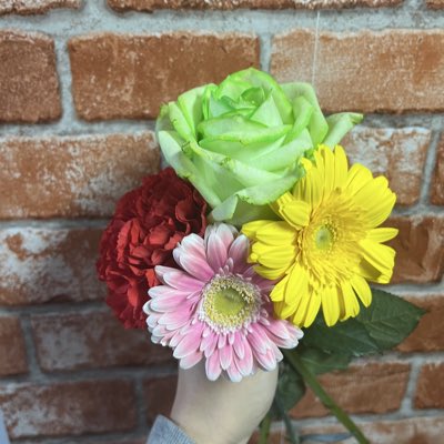 #新しいプロフィール画像