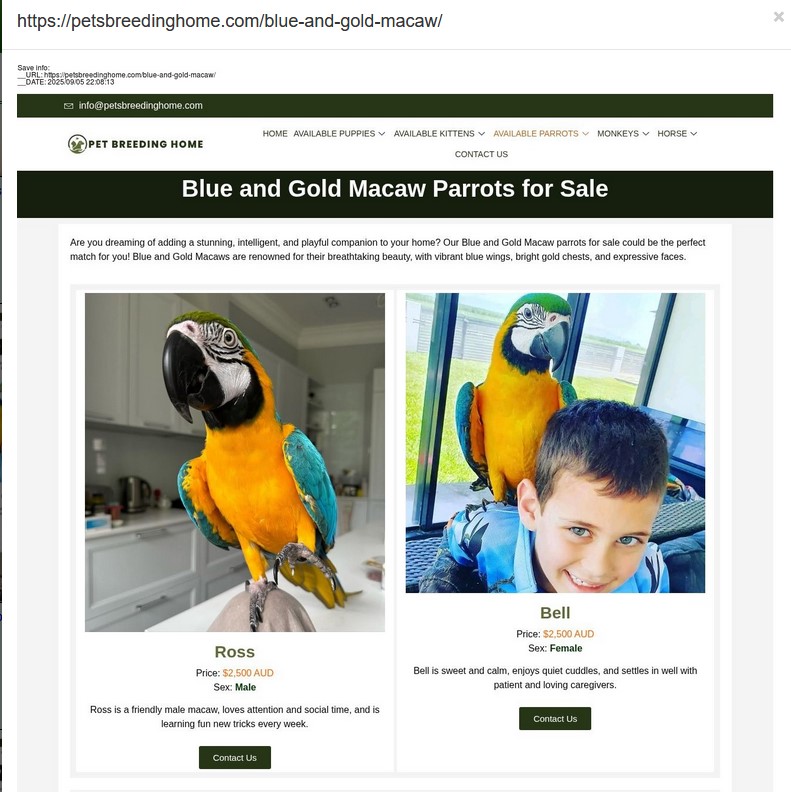 Something fun to do over the weekend: Learn German using #scam websites.

"Ara" is "Macaw" in English.

Comparing /petsbreedinghome.com  supposedly in Australia, according to fake Google reviewer "Michel Trick" (is that a pun?), and /haustierbauernhof.de supposedly in Germany.