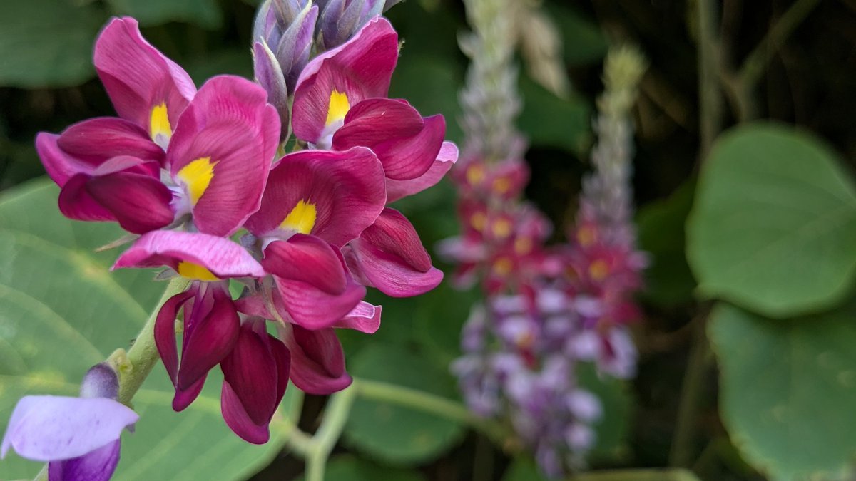 有田有子 (@i96ywhkpd08kh1u) on Twitter photo 