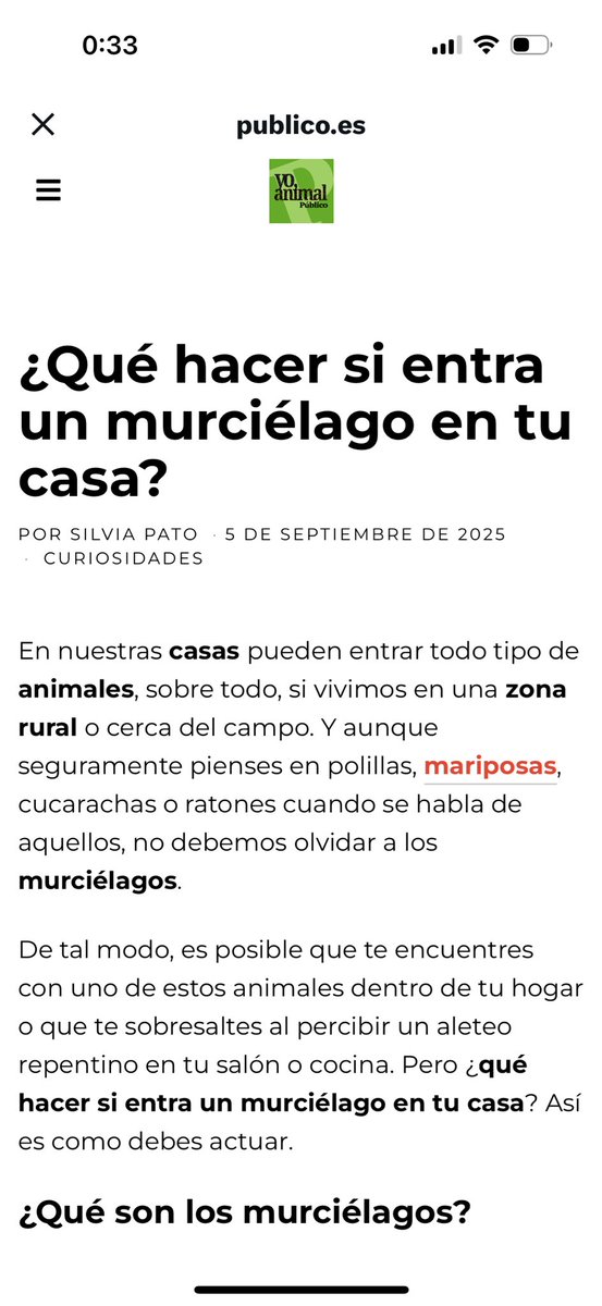 Luluminix's tweet photo. Yo: No puedo dormir
También yo: https://t.co/sN1Qof8iXe