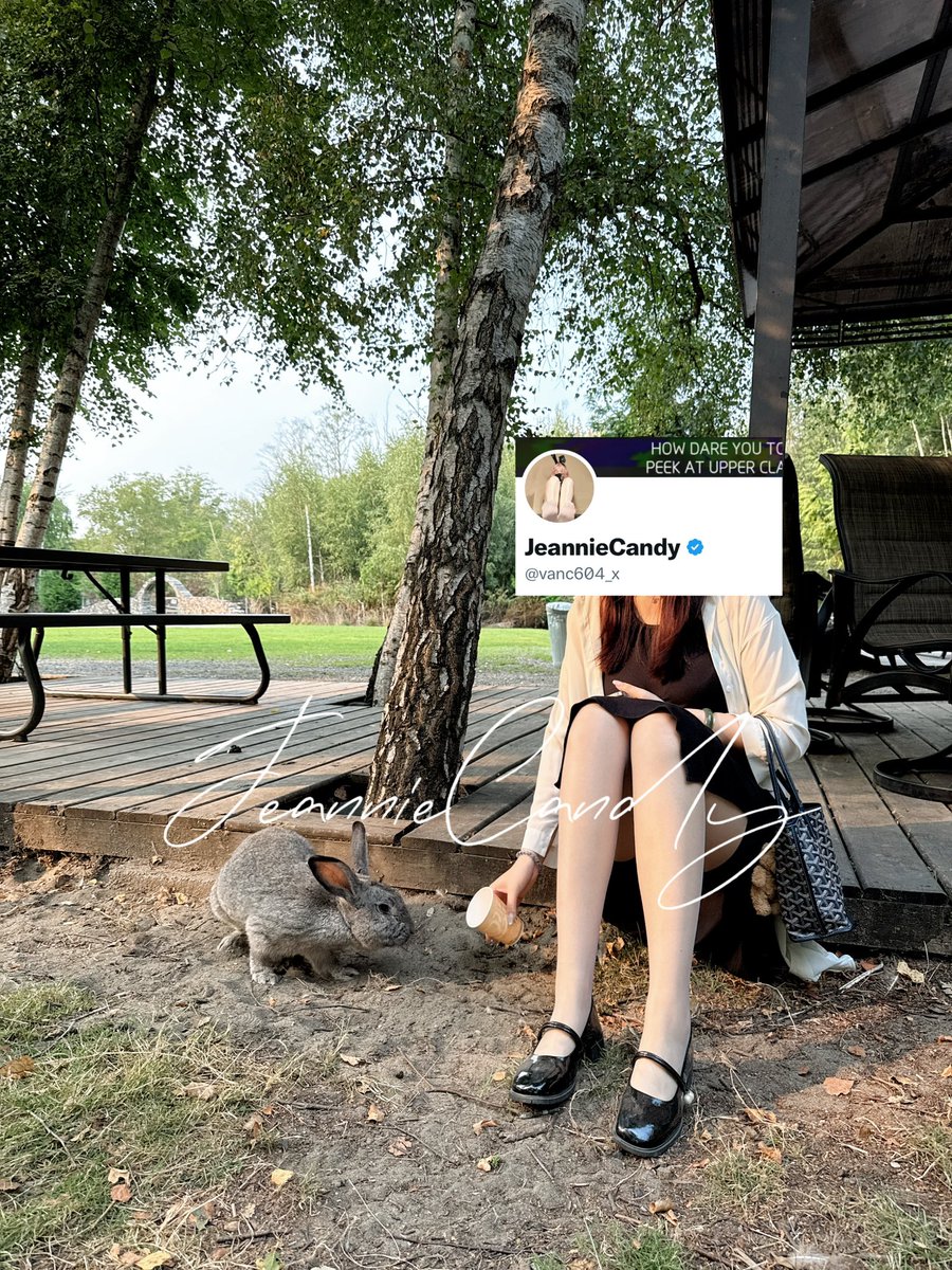 推荐UU farm 
里头小动物不多但是特别可爱
#温哥华 #丝袜