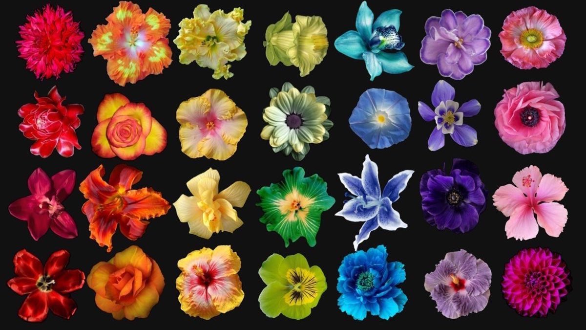 22:22 (@22hrr22min) on Twitter photo 