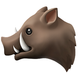 BadPapiiiii's tweet photo. @defnotboybaie @theefag 🫠 https://t.co/7H2KLkIQBX