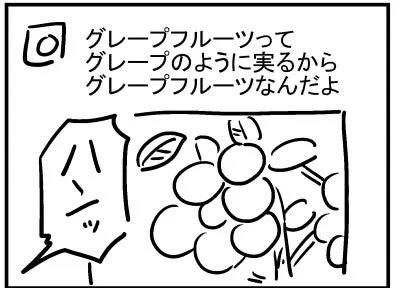 ブログ更新!「グレープフルーツって実は…」https://t.co/TMY7lzhriO 