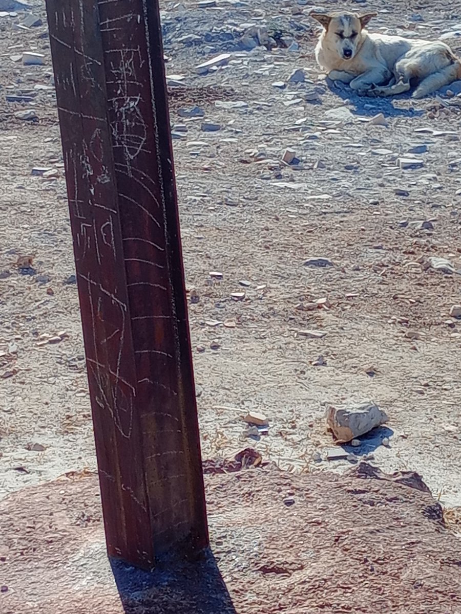 SSDRESCU's tweet image. Please publish the wickedness. Here we live in a place where there is no Essentials of life Look at that residence sitting Here is far from people or from the world In sad isolation Yais J Hungry, tired patient Satisfied with difficult life All animals Poor here lives like him💔