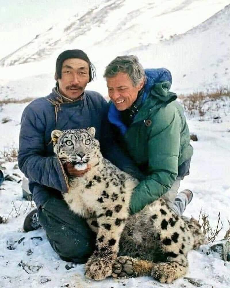 1991 онд Америкууд Говь-Алтайн Бигэр сумын Бурхан Буудай ууланд ирвэс ажиглахаар  хүзүүнд нь дохиолол тавихдаа "Ирвэсийн ууланд" гэдэг баримтат киноны зураг.Уг киног "Survival Anglia", East Anglia TV сувгийн захиалгаар Аляскаас "Bennett Prduction" студи Алтайн өвөр говь, .