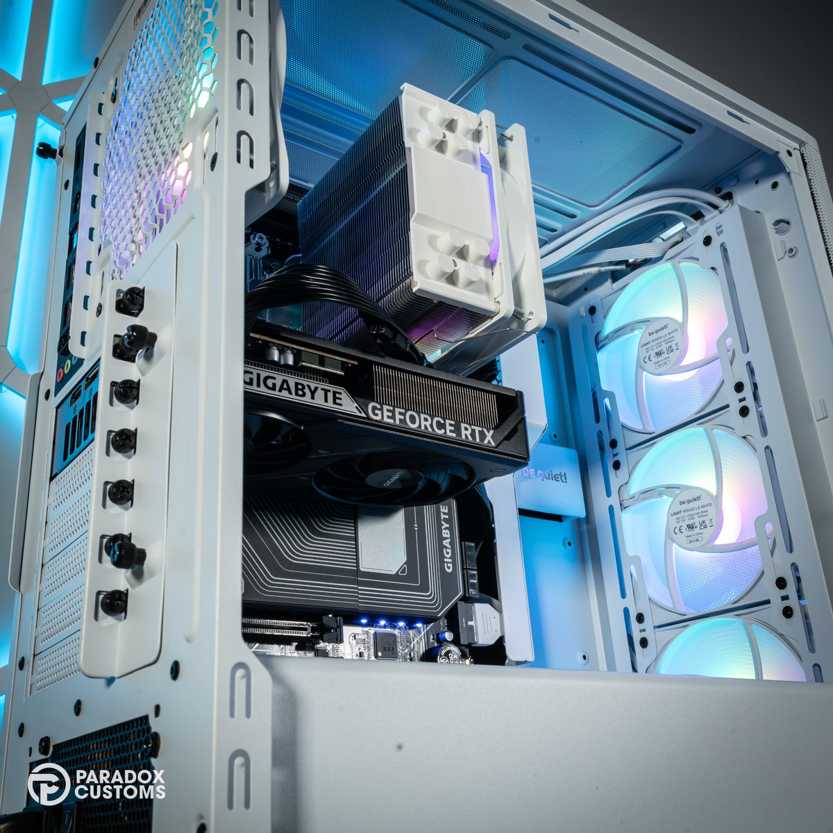 Paradox Customs tweet media