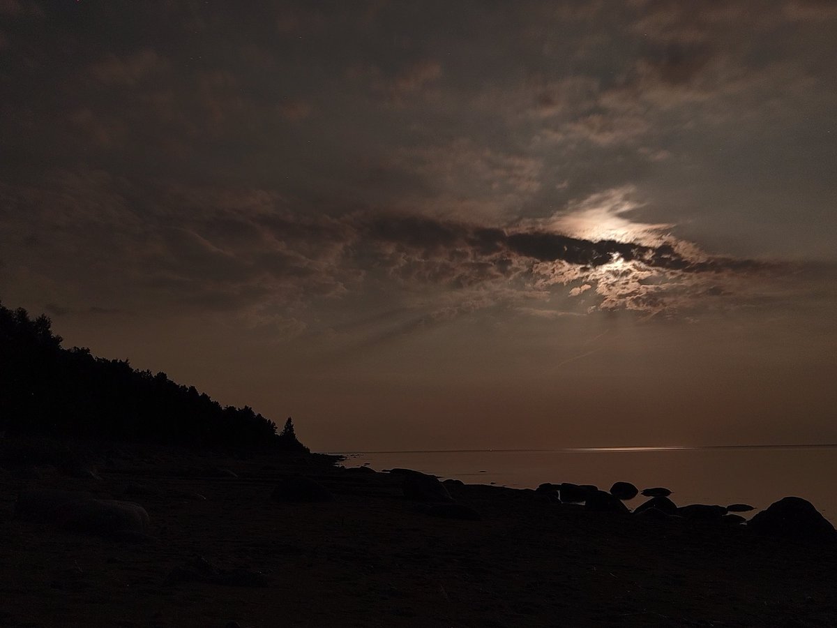 Ziemeļblāzmas prognoze bija laba, bet pilnmēness gaisma pārāk izgaismoja debess jumu, blāzmu neizdevās noķert. Toties bija spocīgi lieliski mēnessgaismas skati. Vienā kadrā nokļuva lidmašīna, 20 sekundēs izveidojot taisnvirziena punktu rakstu.
<a href="/StarSpaceLV/">StarSpace Redaktors</a>
<a href="/MeteoLatvia/">Martins Bergšteins</a>