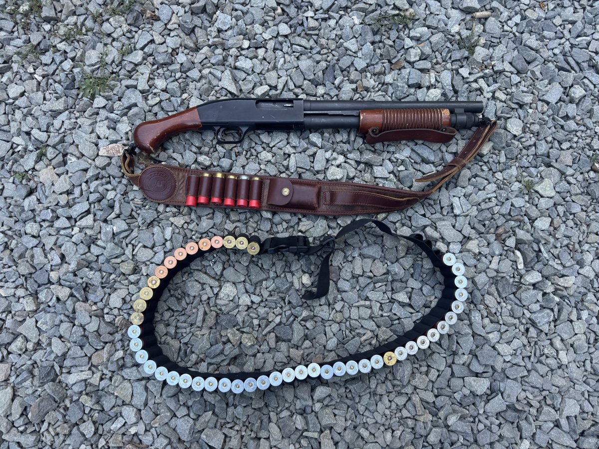 pnwguerrilla's tweet image. -Get home
-let chickens out
-Rooster attacks my nephew
-Rooster says hello my to 12GA

(I can’t post the dead bird because Twitter allows literal war crime footage but not dead animals for some reason