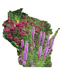 WI Yard &amp; Garden
buff.ly/t6oVOUx 
A weekly column of horticulture education and activities for Wisconsin gardeners. Read the latest articles from this past month.