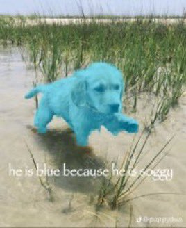 Freb (@fred_ssb) on Twitter photo 