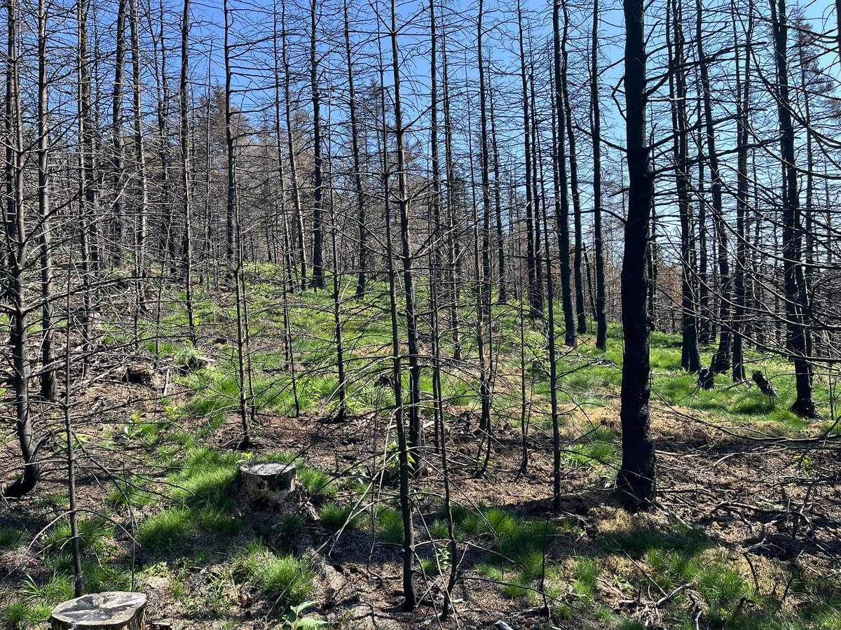 Russell Wangersky (@wangersky) on Twitter photo 