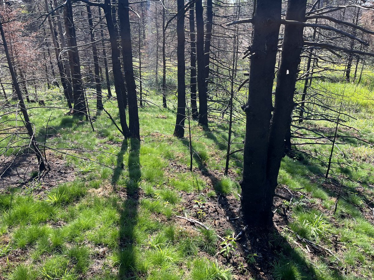 Russell Wangersky (@wangersky) on Twitter photo 