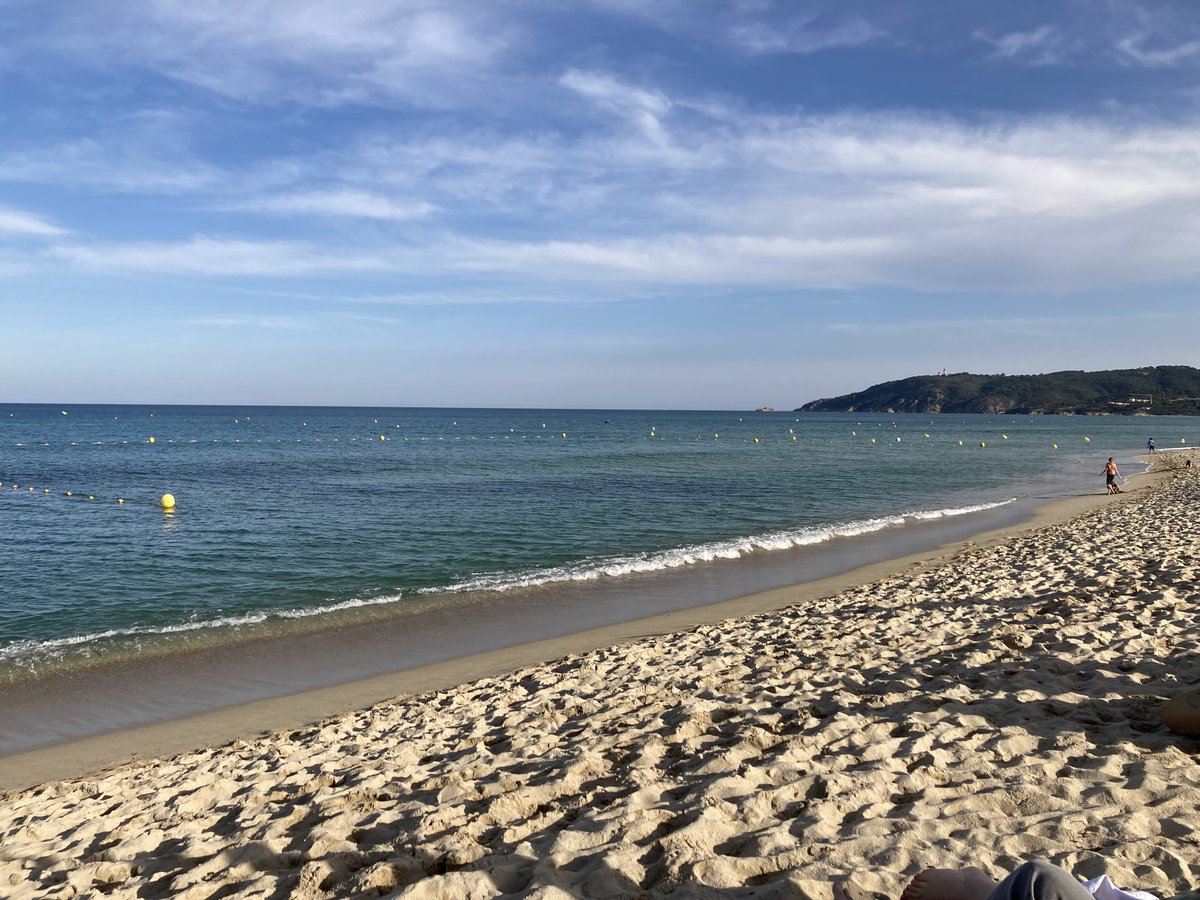 Toedtmann's tweet image. Urlaubsrückkehr in den Job: Und schon ist die Erholung dahin  #ManagementBlog #wiwo

Urlaubsrückkehr in den Job: Und schon ist die Erholung dahin | Management-Blog