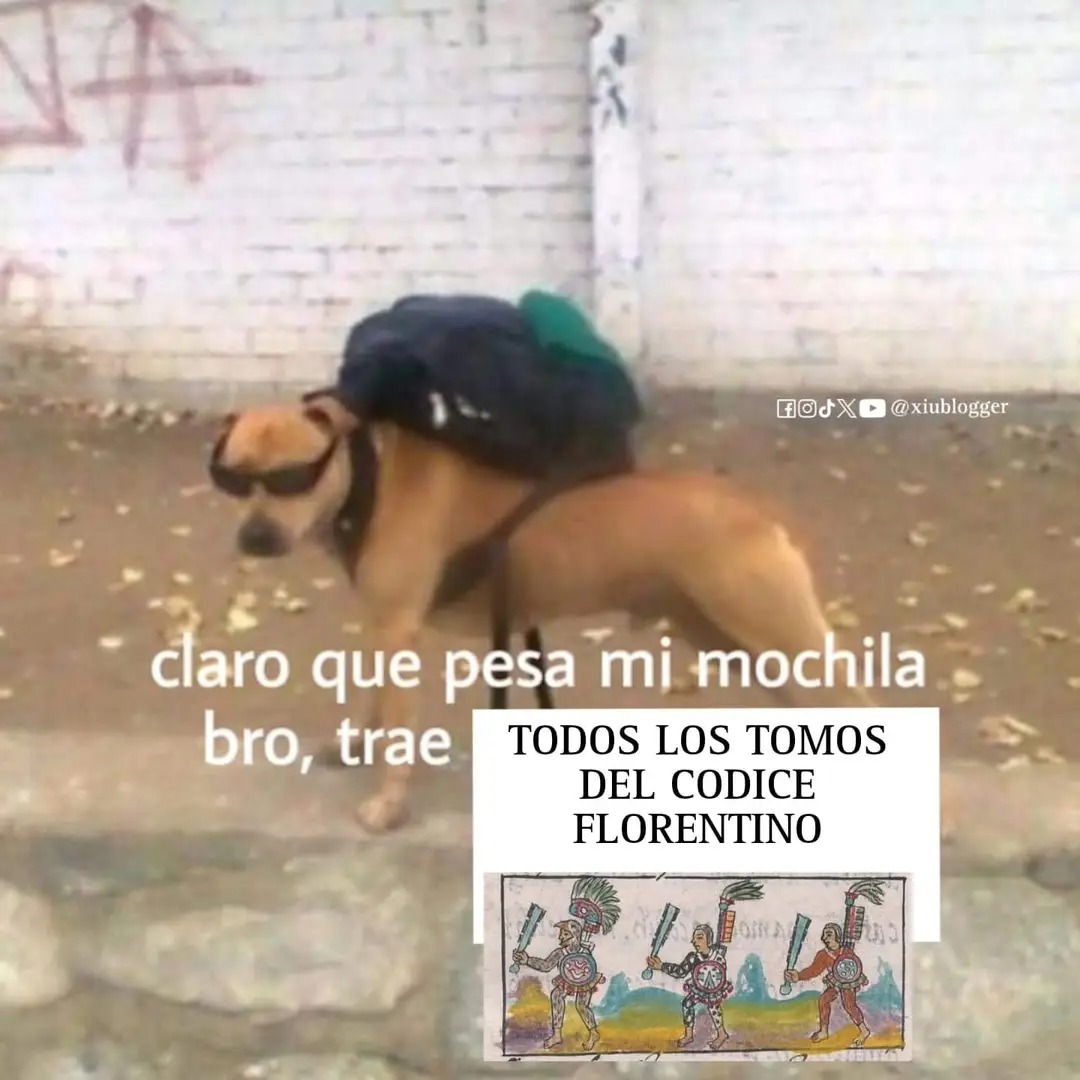 ElAmigoChapo's tweet photo. @LeoLopezLujan Mire profe!!! 😁 https://t.co/Su0YUwMGIX