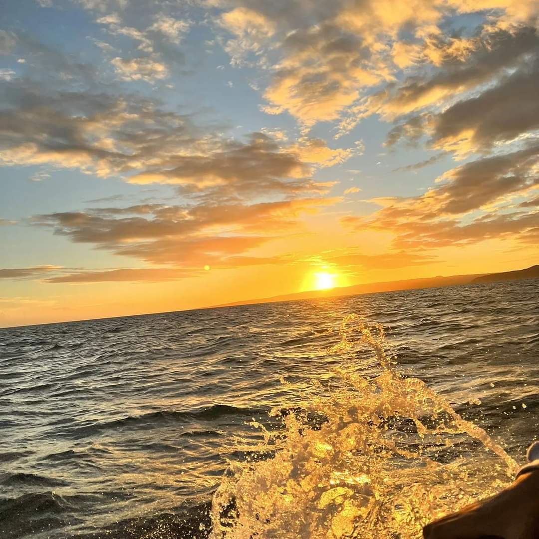 ghettoyutes's tweet image. Now the day is over, night is drawing nigh, shadows of the evening steal across the sky.

Now the darkness gathers, stars begin to peep, birds,beasts and flowers soon will be asleep..... #GoldenSunsets #DunTownKingston #WaterFront🇯🇲🇯🇲🇯🇲🇯🇲